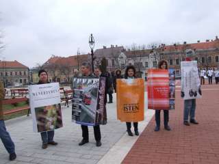 2013.02.09. Farsangi felvonulás 042.JPG 2013.02.09. Farsangi felvonulás 042.JPG