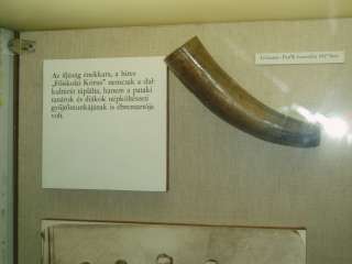 Sárospatak, Rákóczi u. 01. 37.kép.jpg Sárospatak, Rákóczi u. 01. 37.kép.jpg